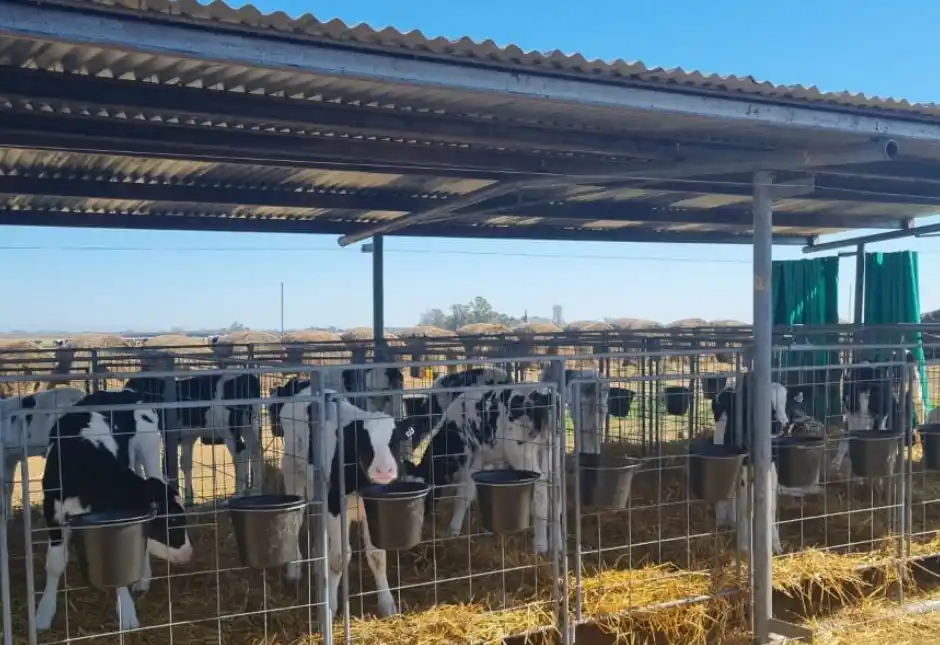 Agenda de Caproler en Crespo