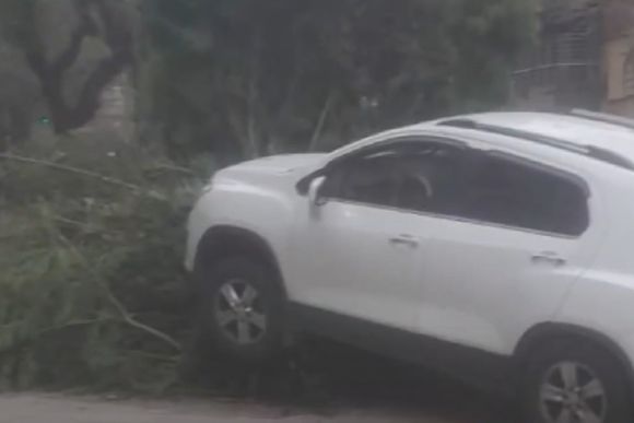 Una automovilista protagonizó un fuerte choque contra un árbol en el centro