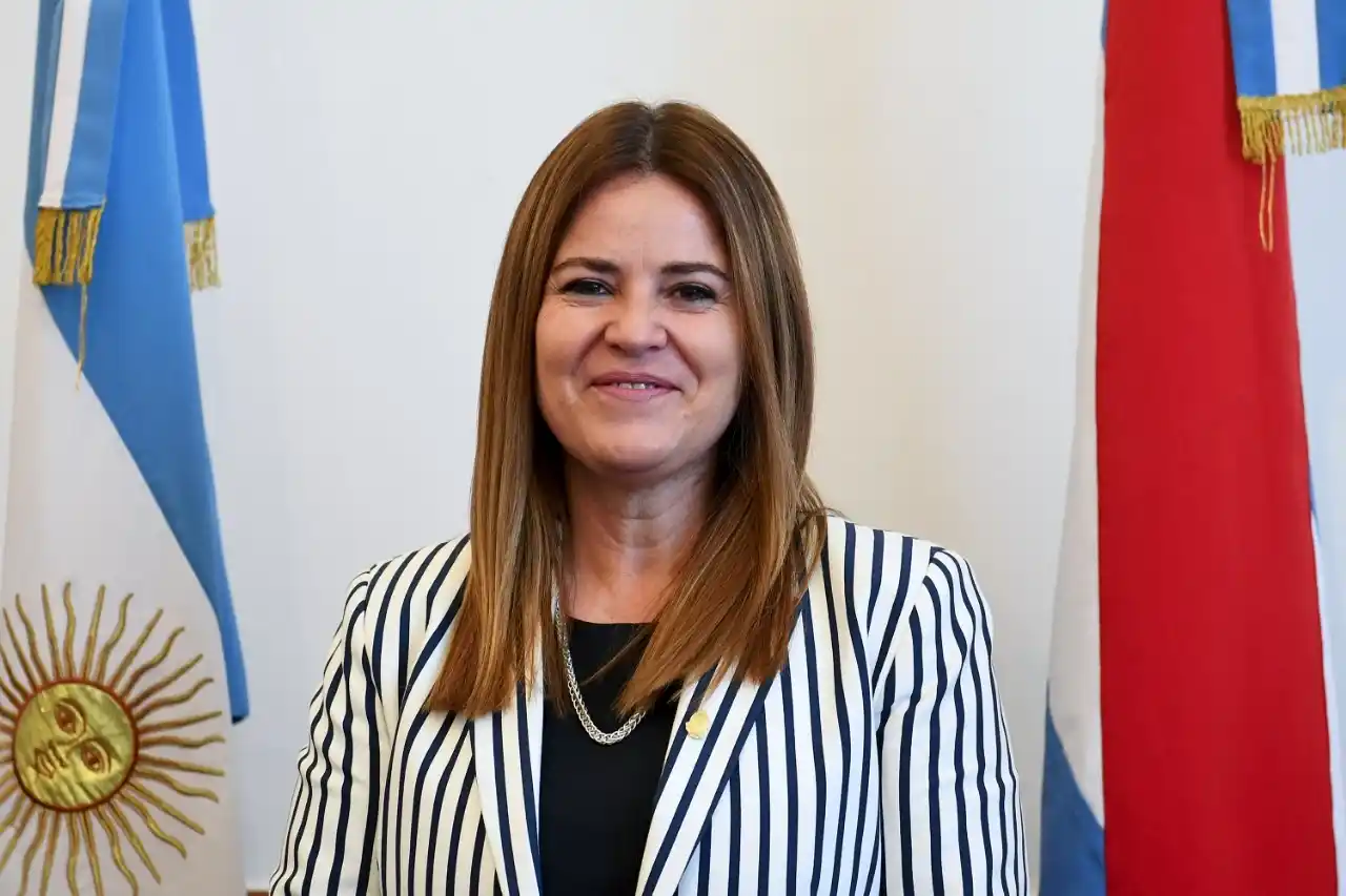 Estadísticas de género y entrega de armas: Dos proyectos de Kunath se convirtieron en Ley