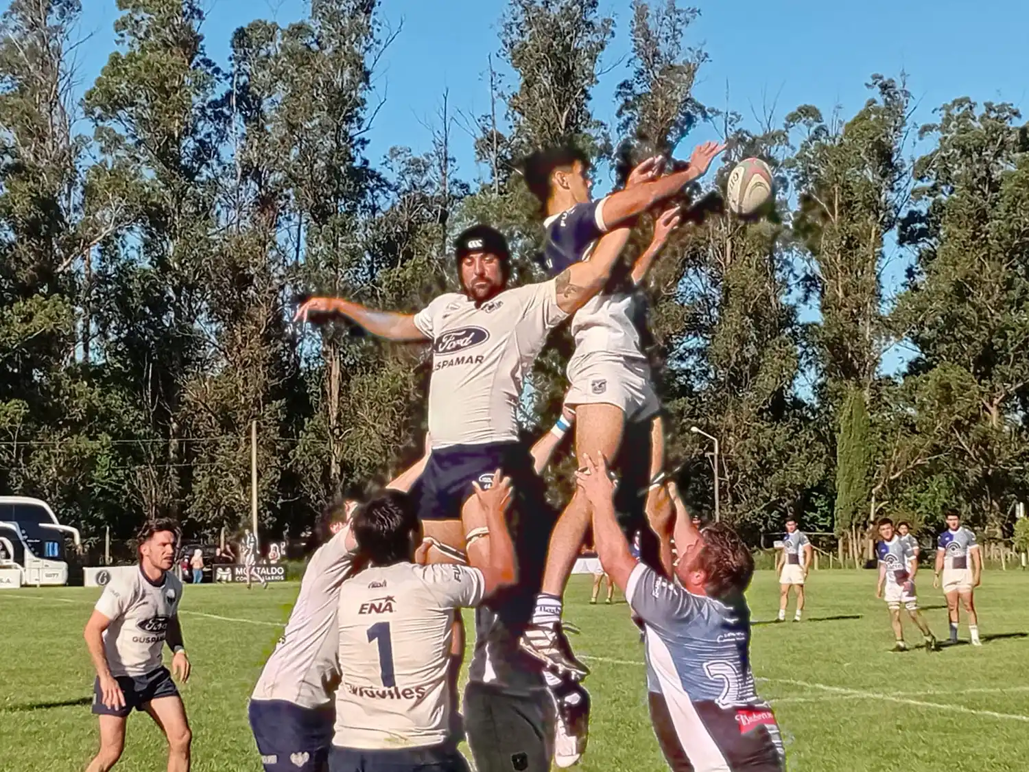 rugby uncas cardos los 50 eco rugby - 4