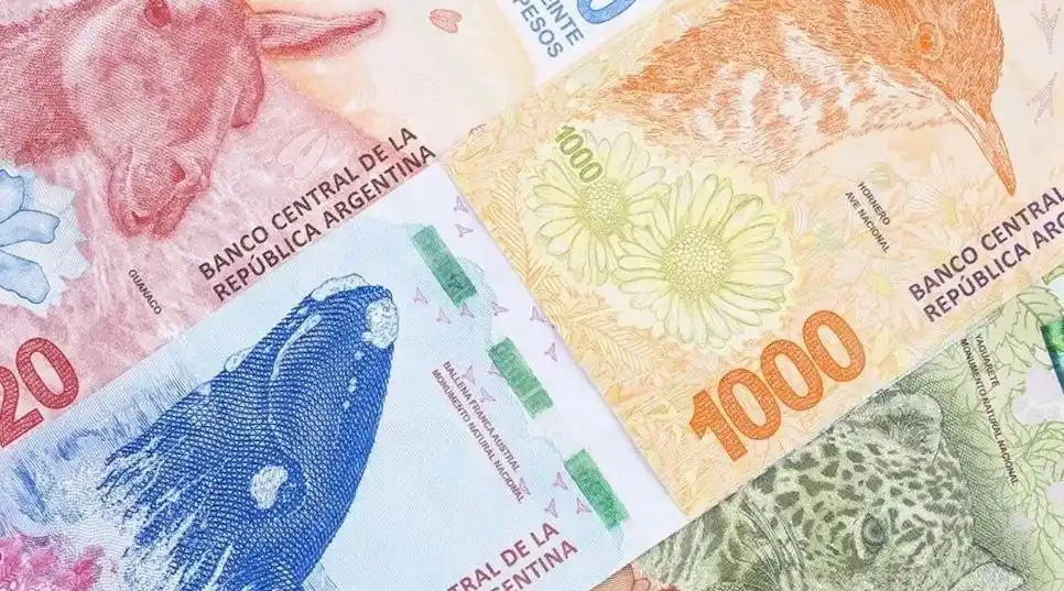 Nuevos billetes argentinos: ¿Qué próceres tendrán, cuándo entran en circulación y cuáles son sus valores?