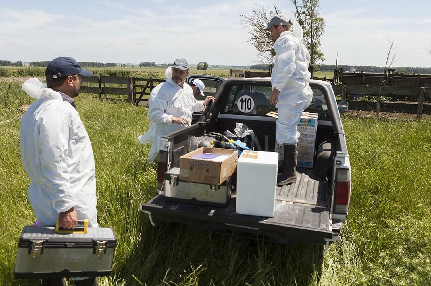 Concluyó el simulacro de fiebre aftosa en Entre Ríos