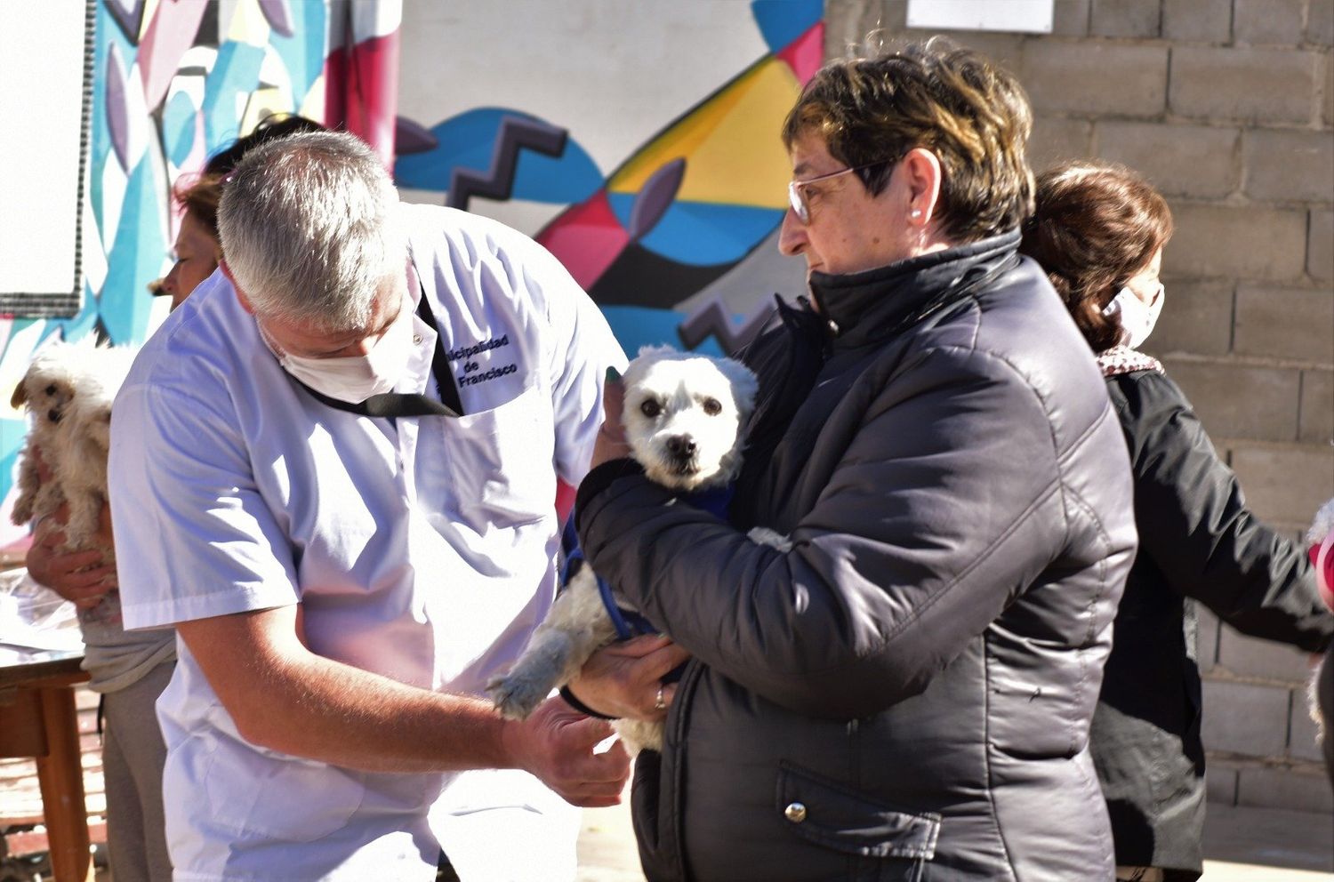 La vacuna antirrábica debe aplicarse a perros y gatos