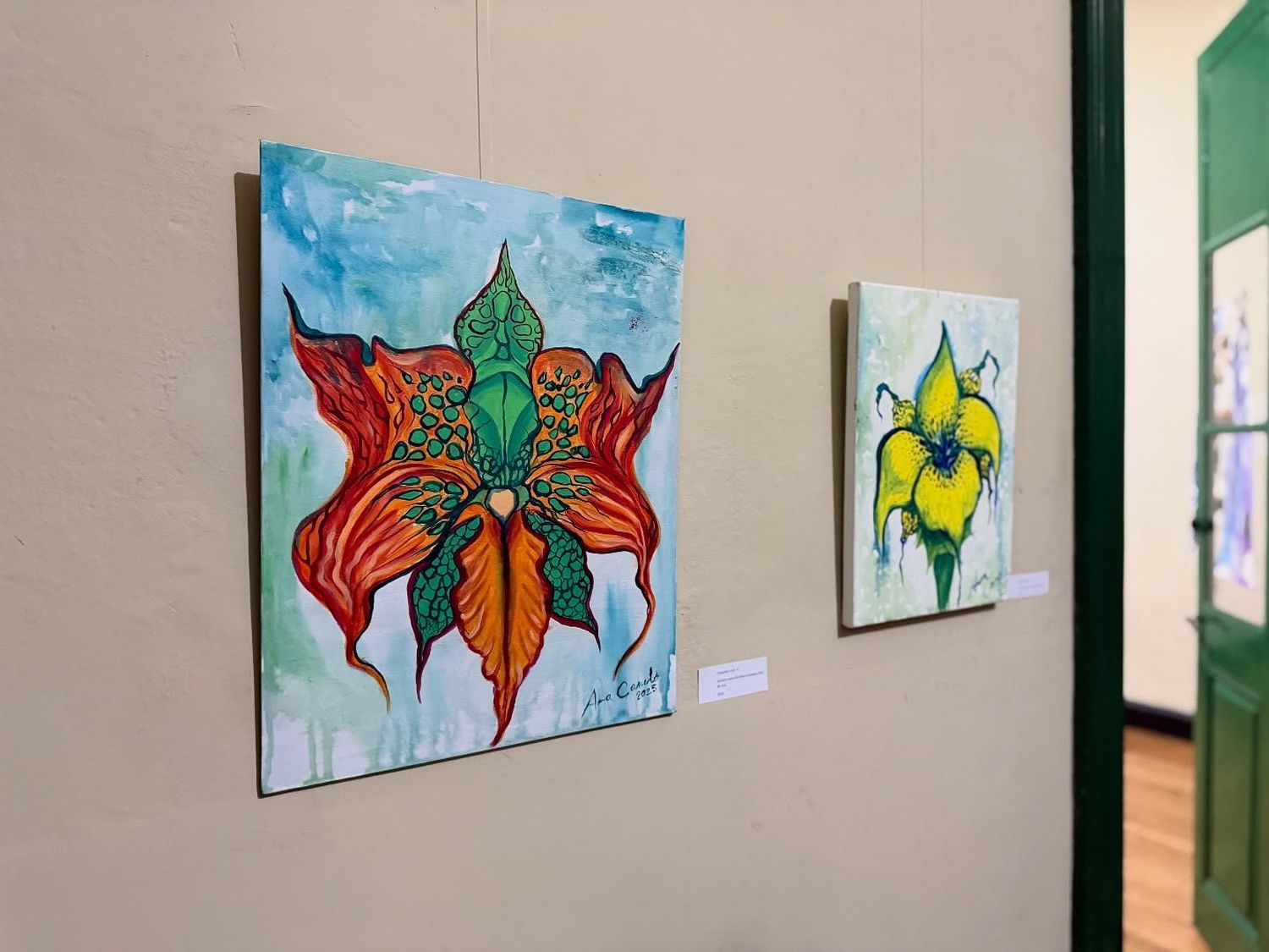 muestra museo - 2