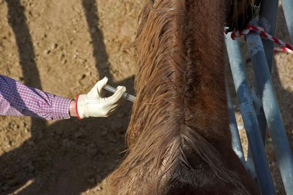 Se analizan doce casos en Entre Ríos. Casos confirmados en Santa Fe y Corrientes