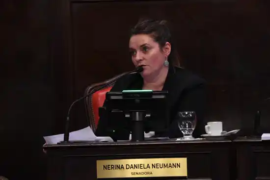 "Pasadas las elecciones, es momento de debatir Boleta Única y Ficha Limpia para 2027": el planteo de Nerina Neumann