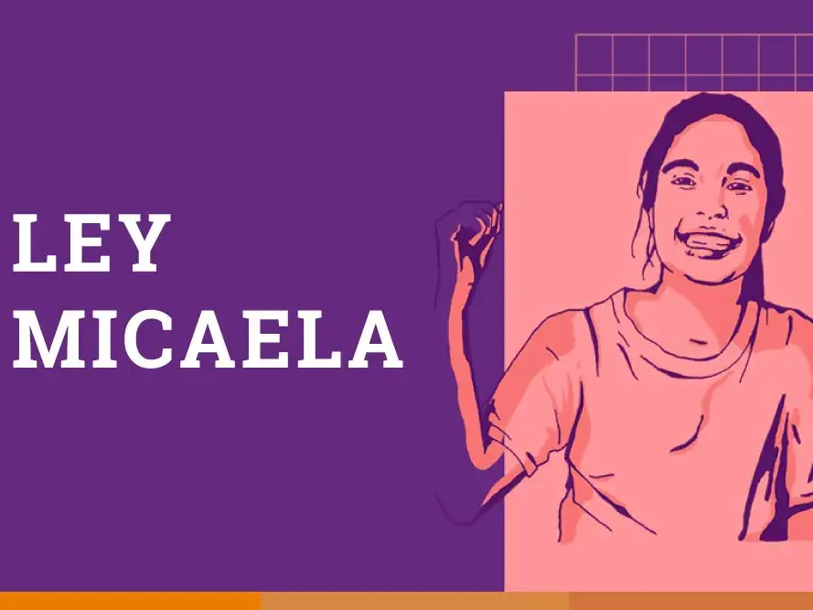 Ley Micaela