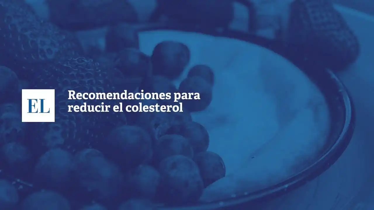 Recomendaciones para reducir el colesterol
