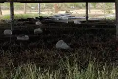 Victoria: allanan fiesta ilegal en área protegida y constatan daño ambiental