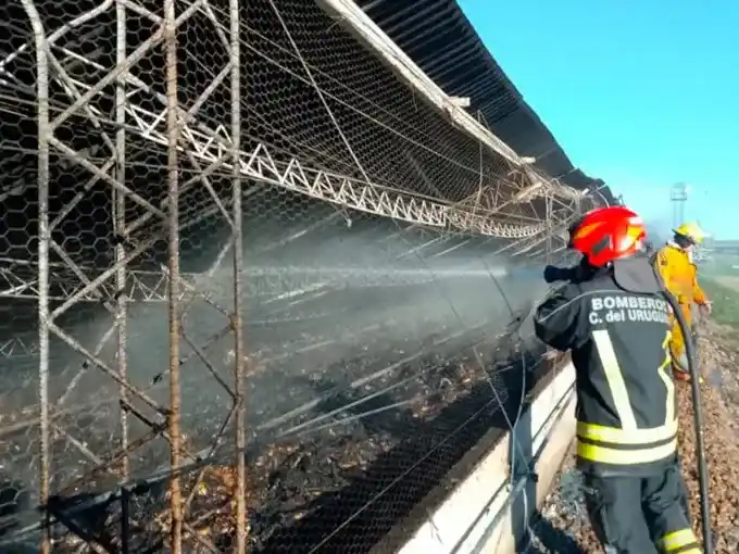 Incendio en un galpón avícola del departamento Uruguay: colapsó el techo y murieron cientos de aves