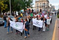 De la calle a las redes sociales, el mundo entero para pidió la legalidad del cannabis