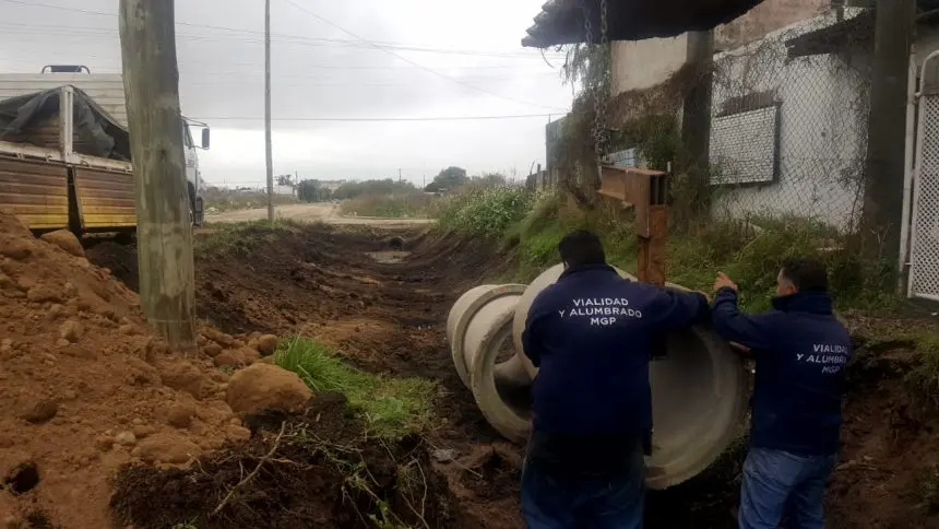 Obras y mejoras en edificio del Departamento de Zoonosis