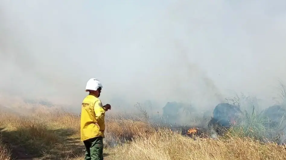 Hay 12 incendios en simultáneo en Mar del Plata y la zona