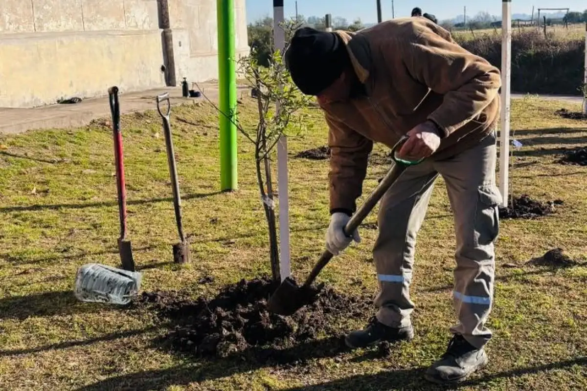 Plantaron árboles nativos en el Cementerio Norte para fortalecer los corredores verdes de la ciudad