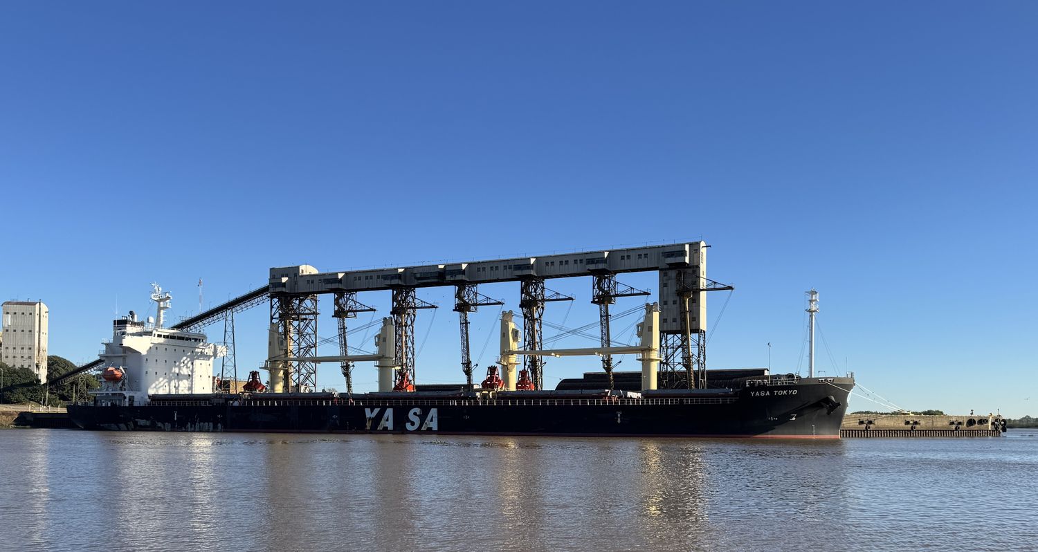 Buque varado: más de 7,5 millones de dólares paralizados en el puerto de San Pedro