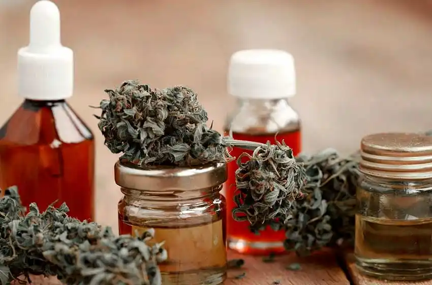 Oficializaron la nueva reglamentación para facilitar el acceso al cannabis medicinal