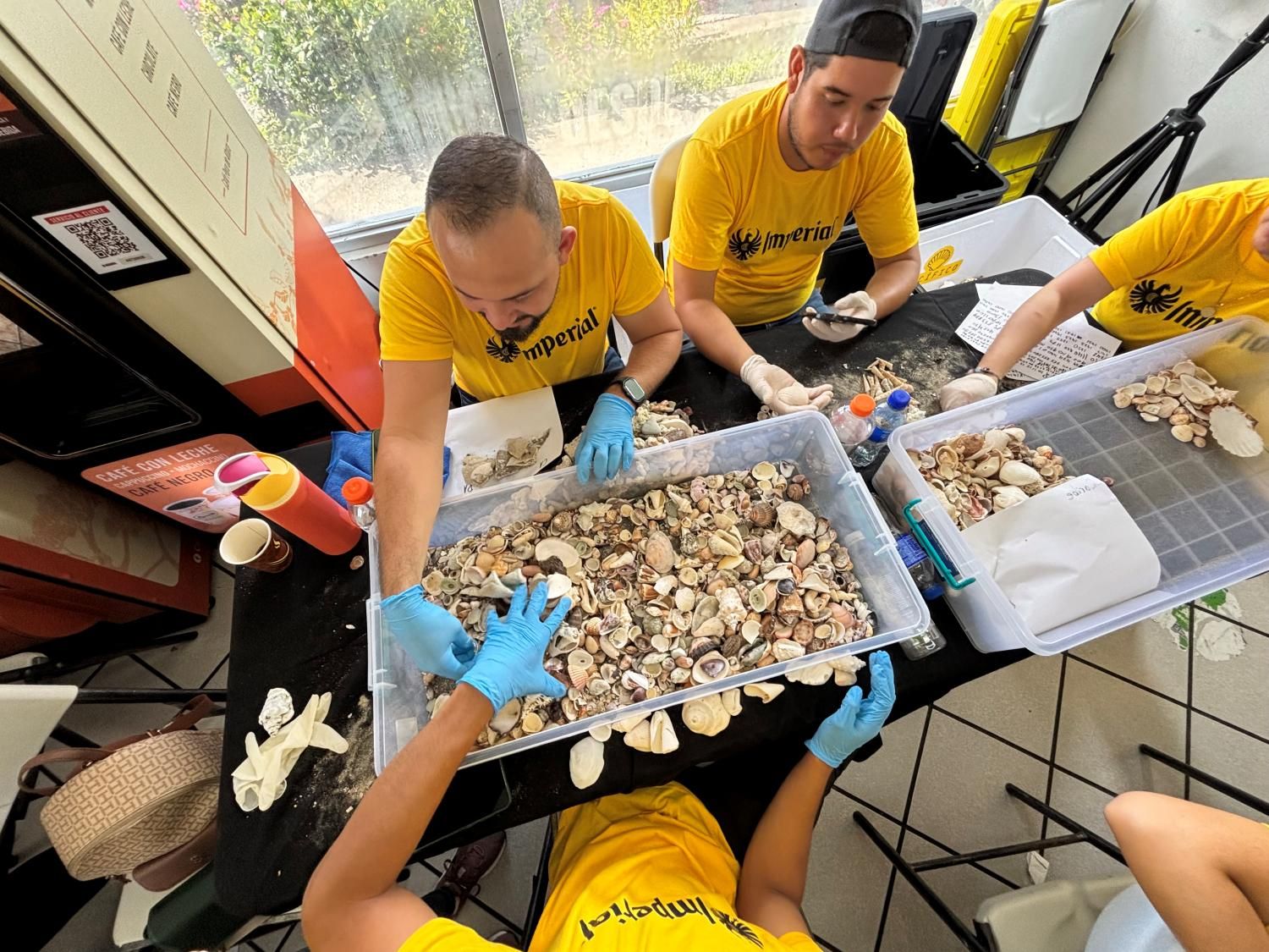 Costa Rica: Over 1,600 kg of Shells Seized from Tourists at Guanacaste Airport