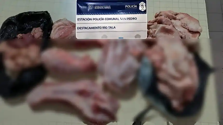 La carne secuestrada en el allanamiento.