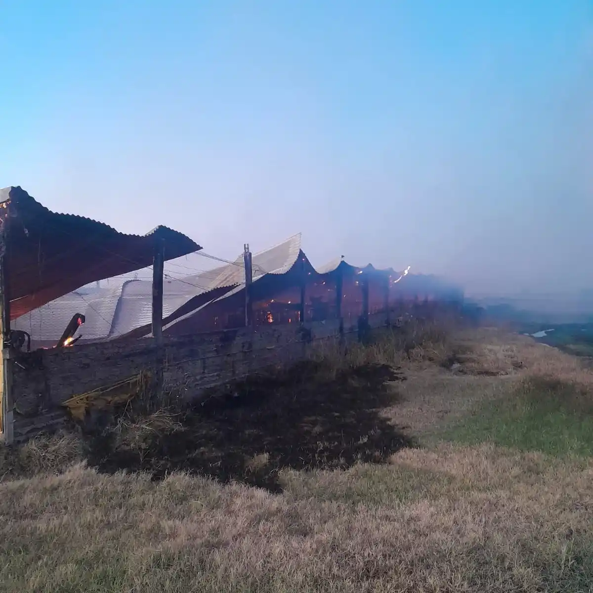 Incendio en establecimiento rural de Lucas Sud: murieron cerca de 500 animales porcinos