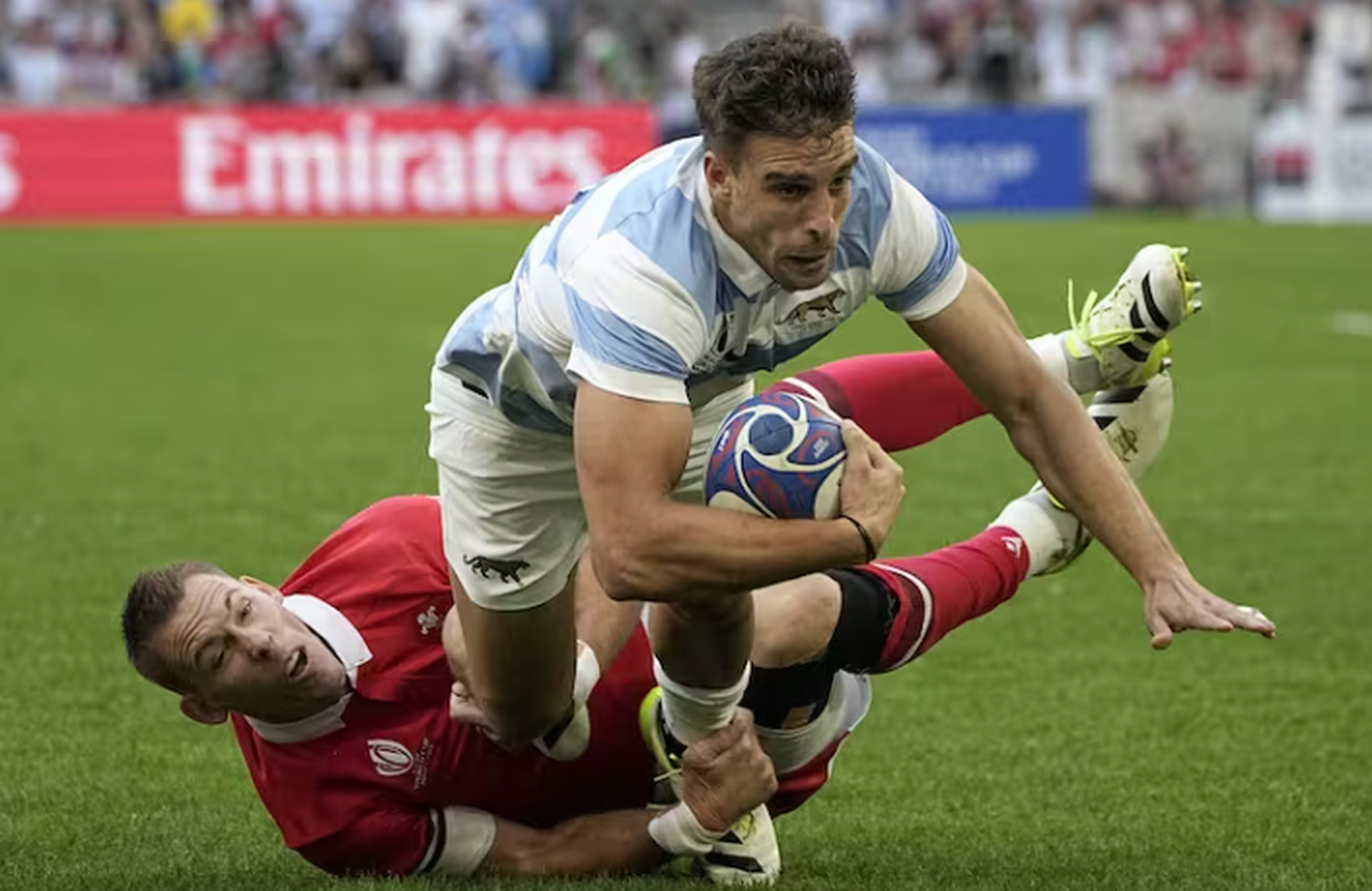 pumas