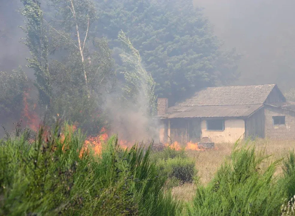 El gobernador de Chubut responsabilizó a la RAM por los incendios en Epuyen y otras zonas