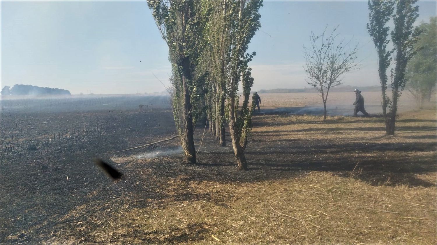 Bomberos intervino en más de 90 incendios forestales en los últimos tres meses