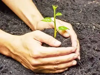 Día nacional de la conservación del suelo: protegerlos es asegurar alimentos, biodiversidad y futuro