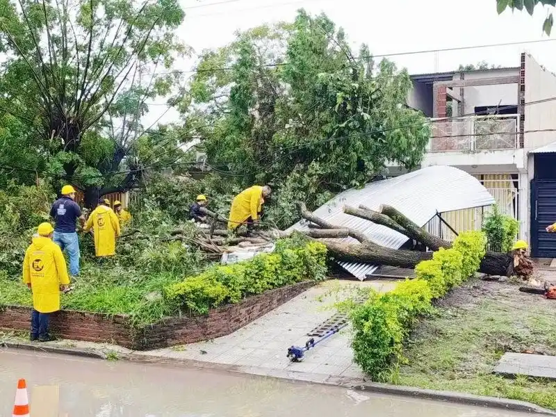 El fuerte temporal causó la caída de árboles
y postes en varios sectores de la ciudad capital