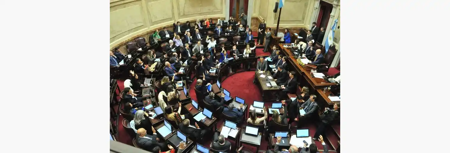 En 2025 se renovará un tercio de la Cámara de Senadores.