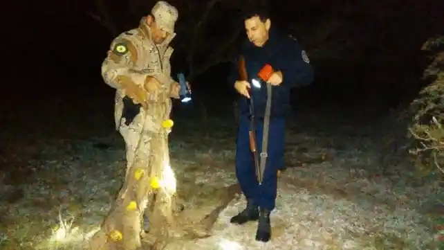 Pesca ilegal: liberaron peces al río Gualeguay