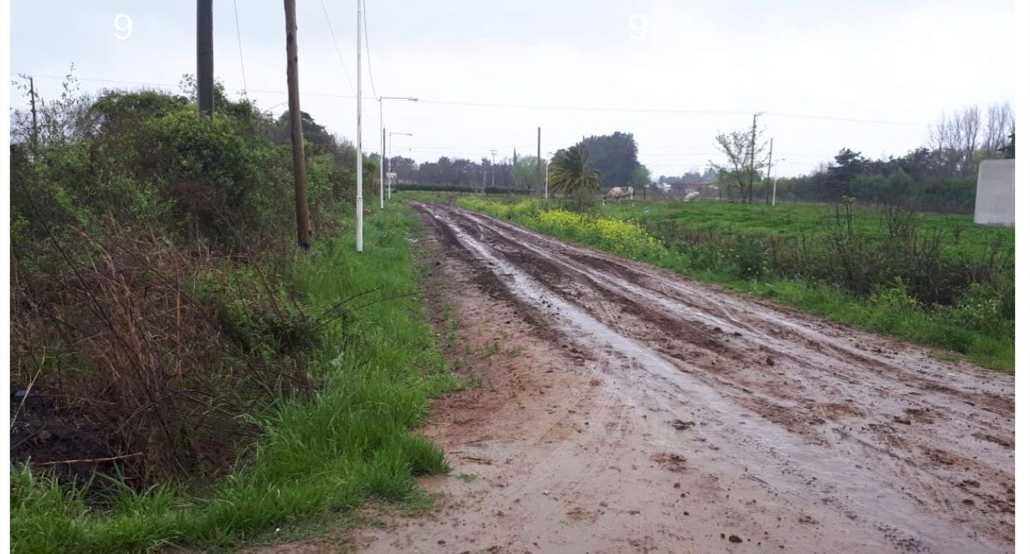 Reclamo por calle en mal estado
