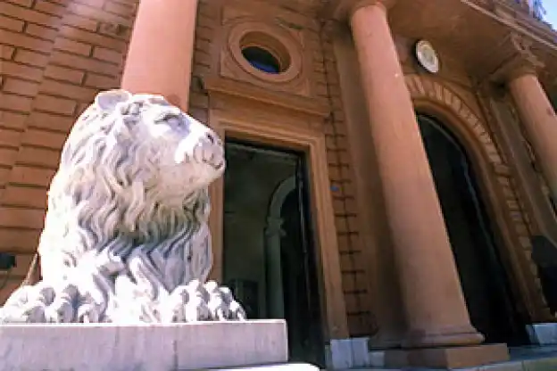 Rosario: lanza un plan de regularización para contribuyentes