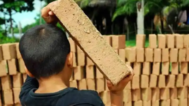 Instituyen el 12 de junio como el Día Provincial contra el Trabajo Infantil en territorio bonaerense