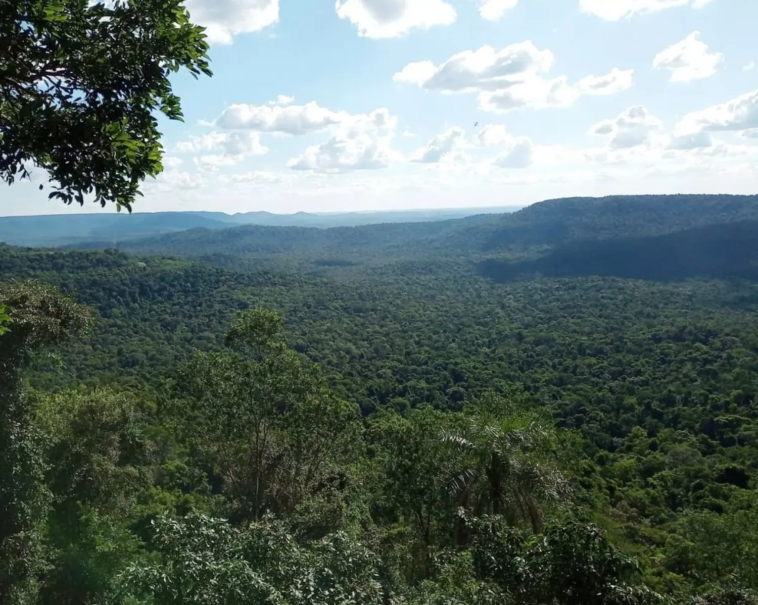 Clima estable en Misiones: Martes 26 de Diciembre