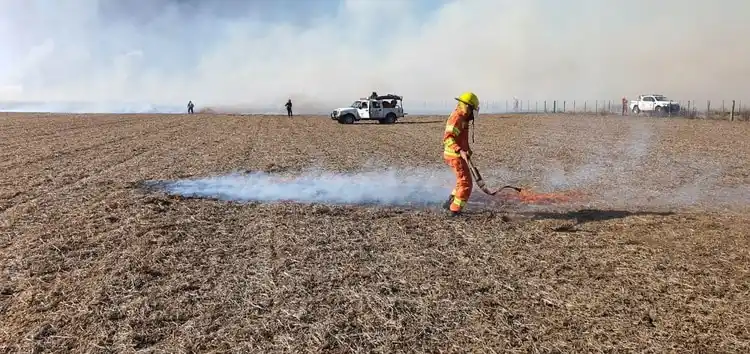 Incendiaron el campo del vicepresidente de Confederaciones Rurales Argentinas 