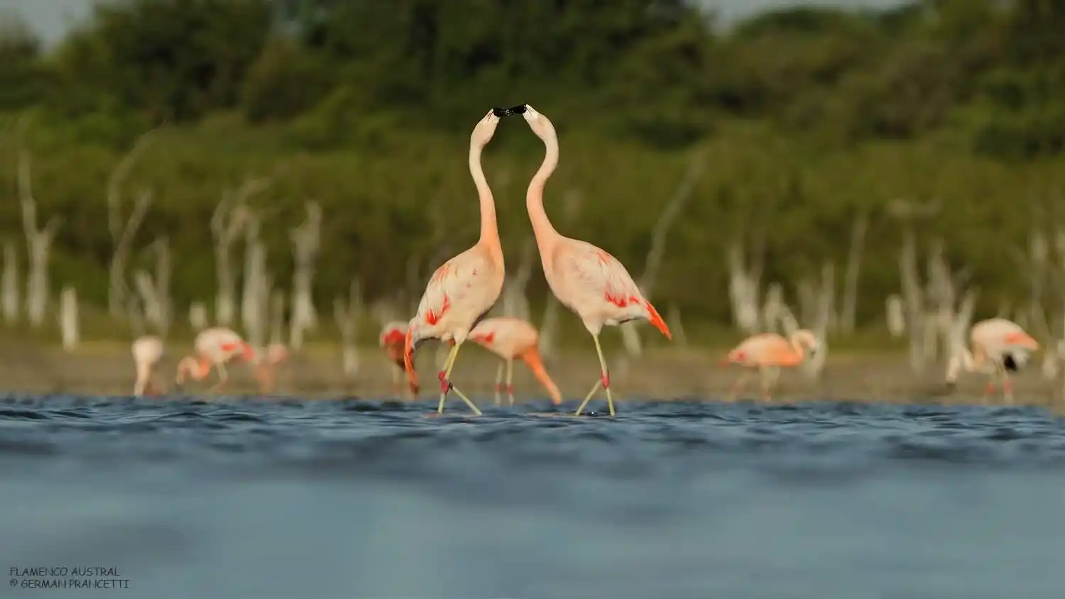 Miramar lanza promoción de 20% de descuento para reactivar el turismo en temporada baja