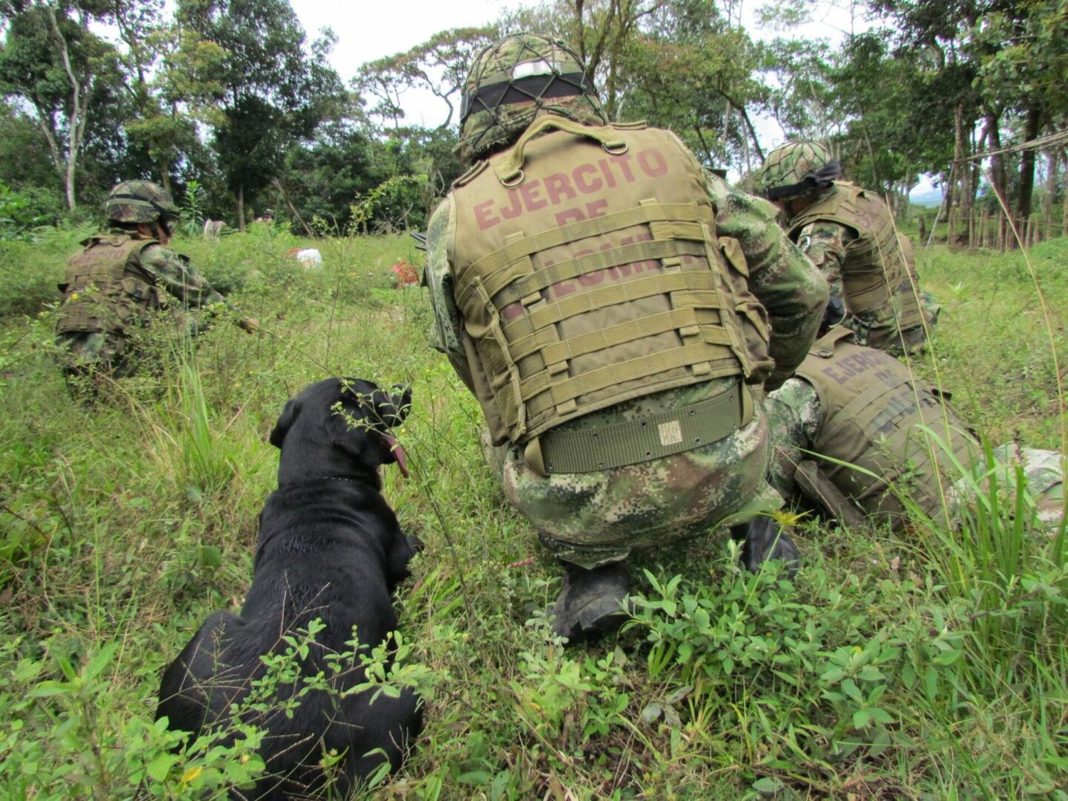 Combates entre ELN y Ejército en Arauca