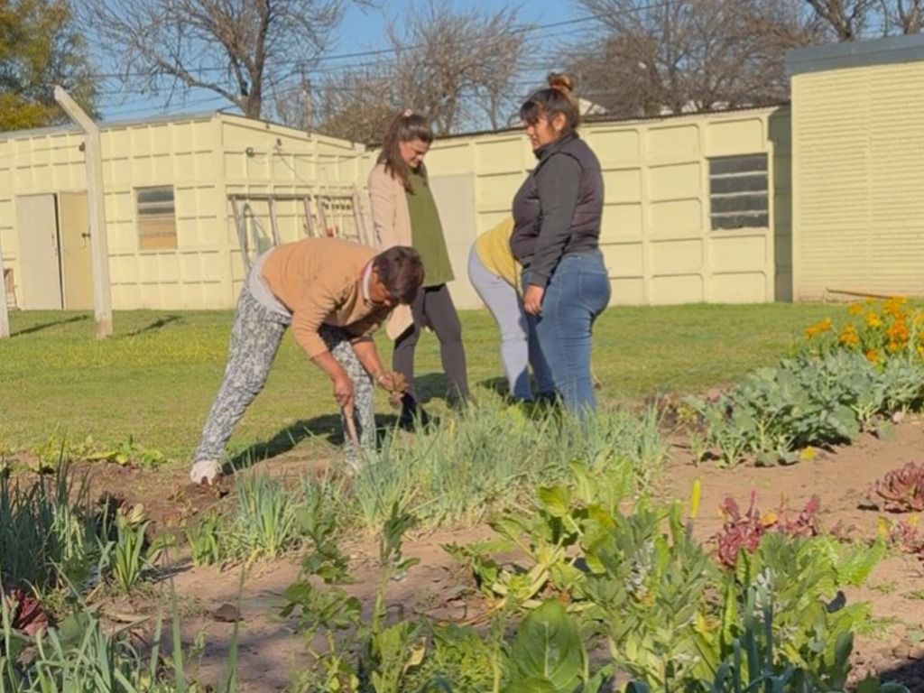 Huerta comunitaria del Hogar Magdalena de Lorenzi