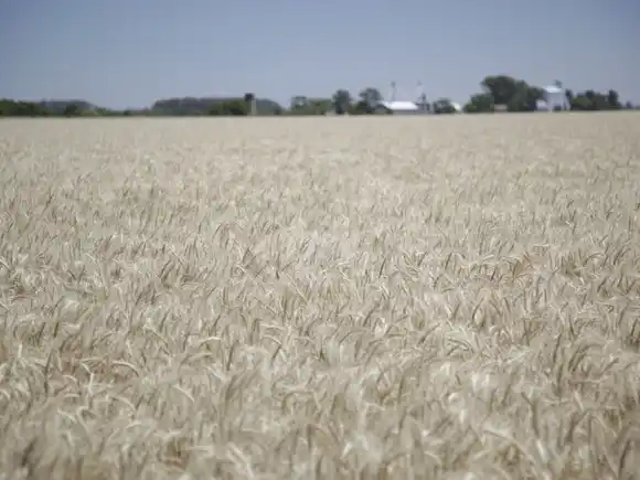 El Gobierno anunció una nueva baja de retenciones para los principales complejos agroexportadores