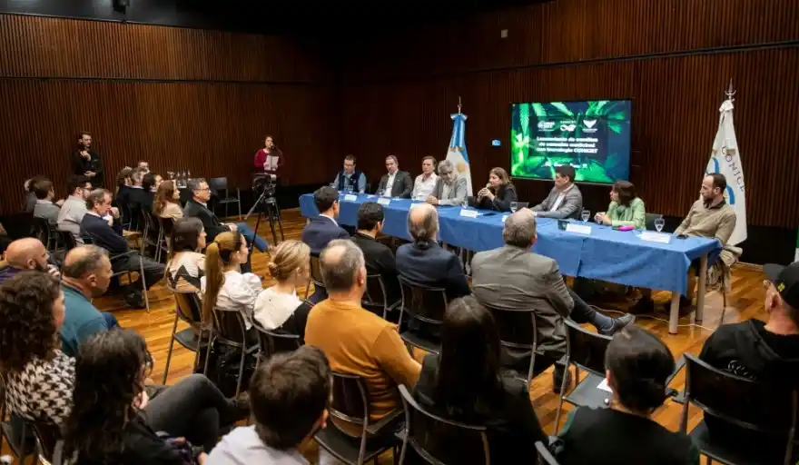 Por primera vez, se comercializarán semillas de cannabis medicinal del CONICET