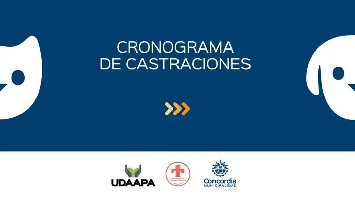 Cronograma  de castraciones para los  barrios de  Concordia