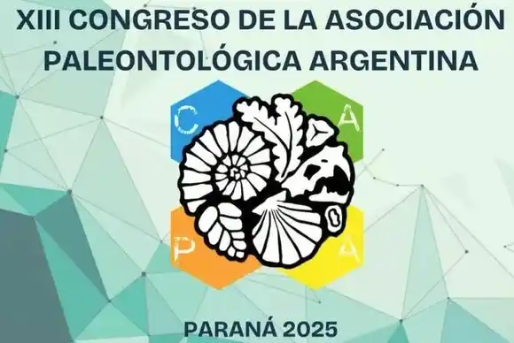 Museóloga concordiense brindará una ponencia en el Congreso de la Asociación Paleontológica Argentina