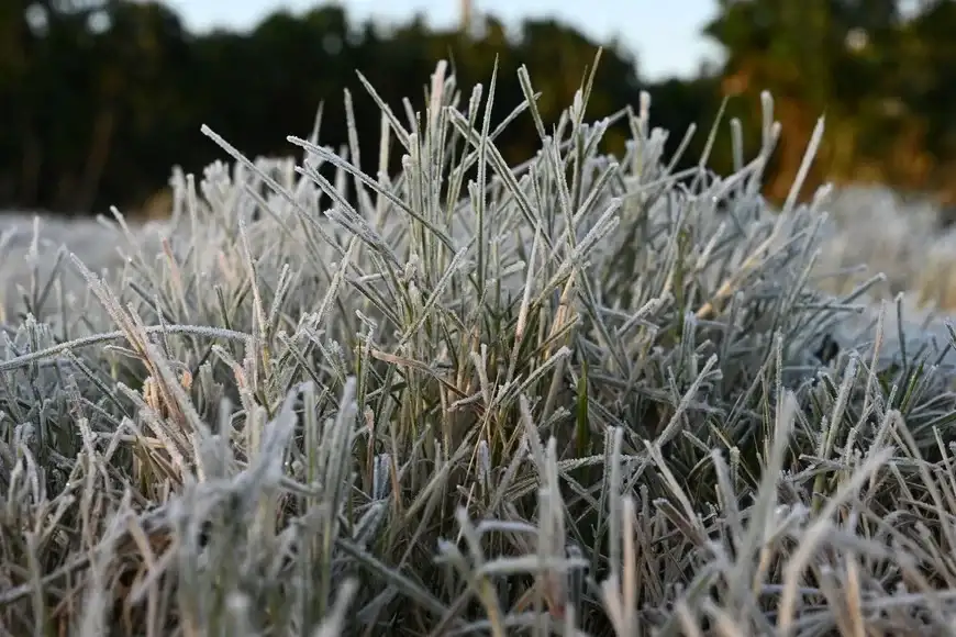 Región agrícola: anticipan calor, lluvias dispares y un nuevo ingreso de aire polar - 3
