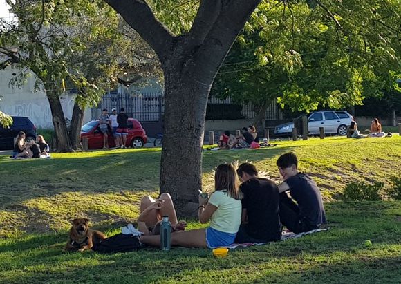 Mundo adolescente: el sábado en Sin Galera podemos preguntar a una especialista en conductas
