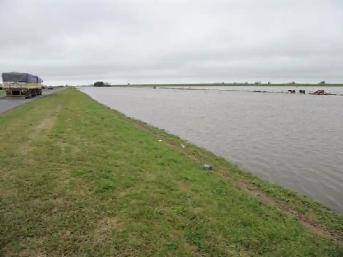 Bajan los ríos Paraná y salado y persisten inconvenientes en algunas rutas de Santa Fe