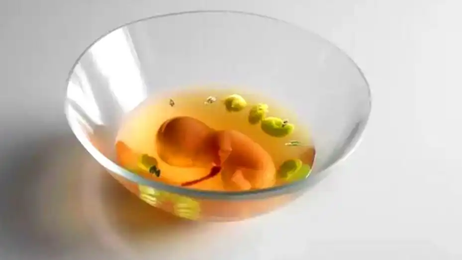 Un restaurante creó un plato que simula un feto y desató un escándalo