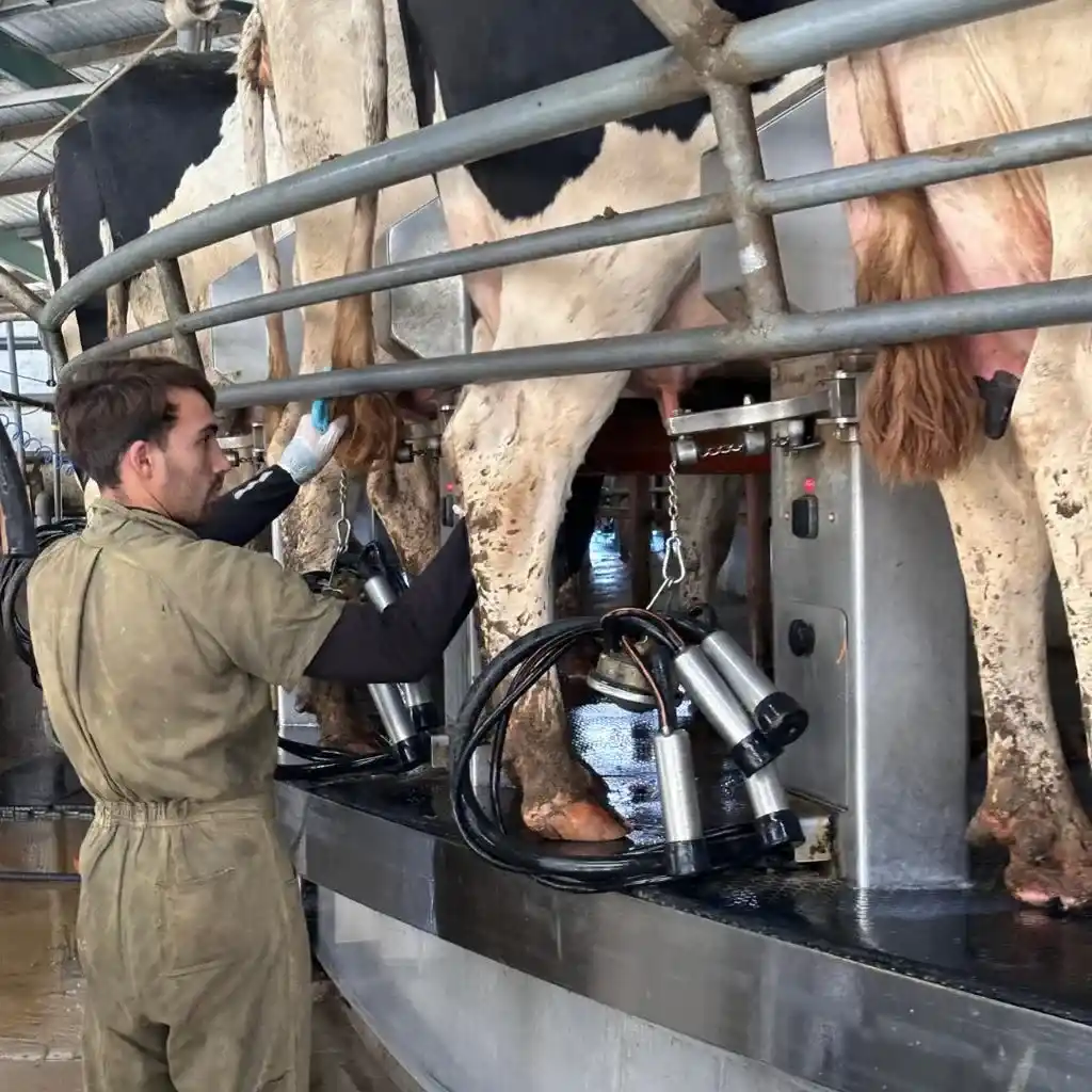 Abella Tambos presentará soluciones tecnológicas y asesoramiento integral en Mercoláctea 2026