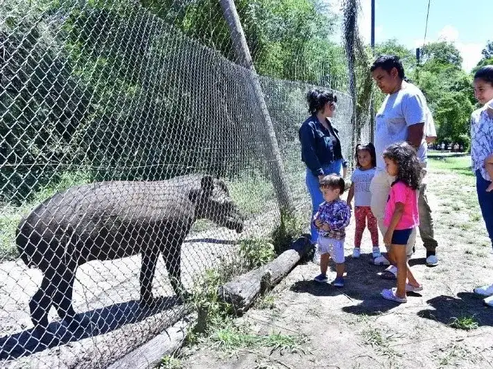 Receso invernal: la Reserva
Guaycolec abre sus puertas