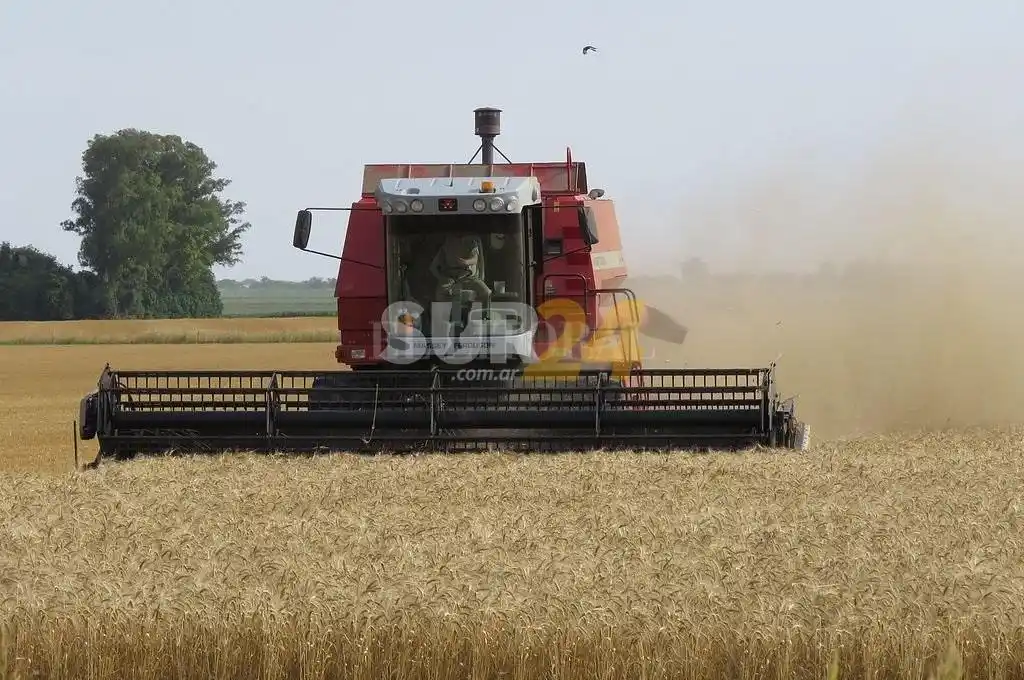 Lluvias generalizadas mejoraron la situación agrícola en once provincias