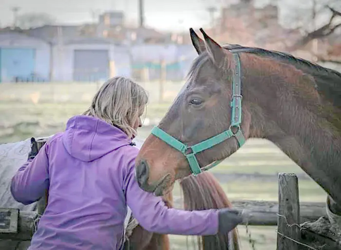 Rompen la cuarentena para poder cuidar de los caballos